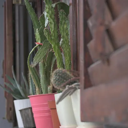 דירה Canyon Matka Nature With A Terrace *