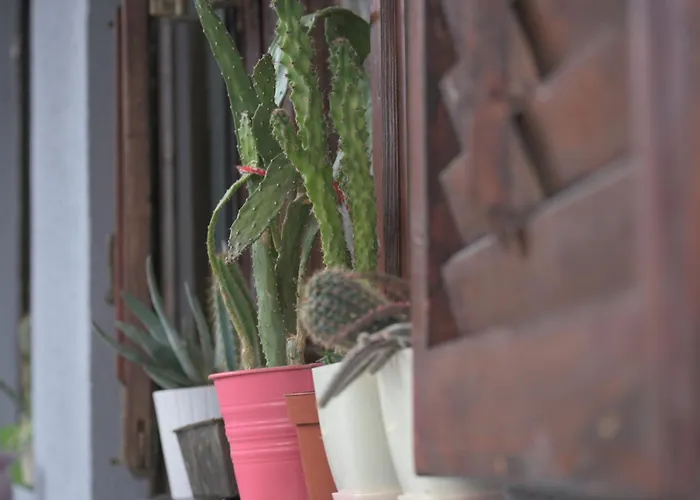 Apartment Canyon Matka Nature With A Terrace *